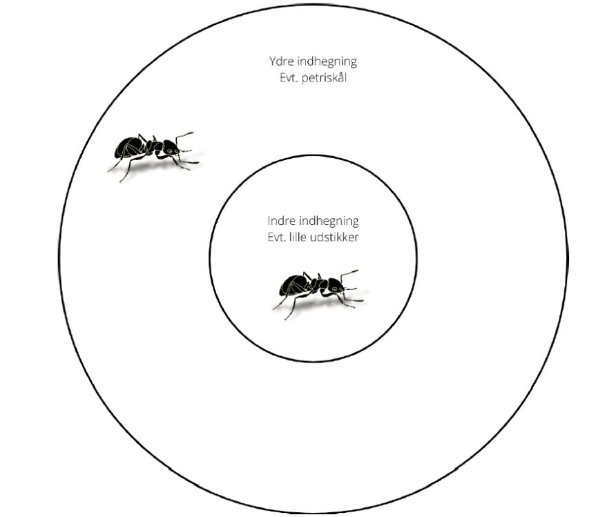 Forsøgsopstilling til Myrernes forunderlige verden. Illustration: Danmarks Naturfredningsforening.