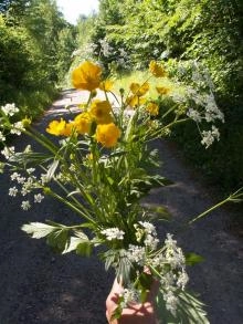 blomsterbuket3_06-2008_0.jpg