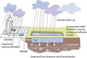 nedsivningsanlaeg_0.png