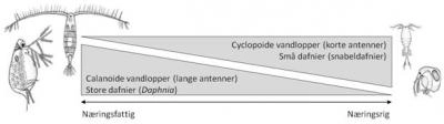 soe9-vandlopper-klaus-brodersen_0.jpg