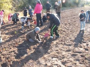 Alle i SFO Drivhuset rejser ny skov i Herstedhøje - Genplant Planeten 2009