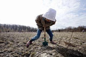 Dreng planter træer i Kongelunden med Genplant Planeten 2010