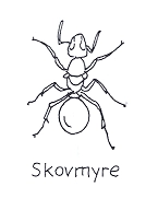 Skovmyre