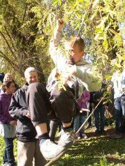 Oskar op på klatretovet