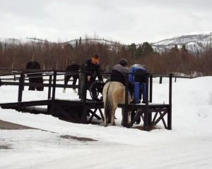 Foto: Tine Soulié, Handicapidrættens Videnscenter