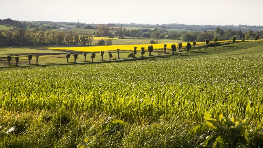 Åbent land på Midtsjælland