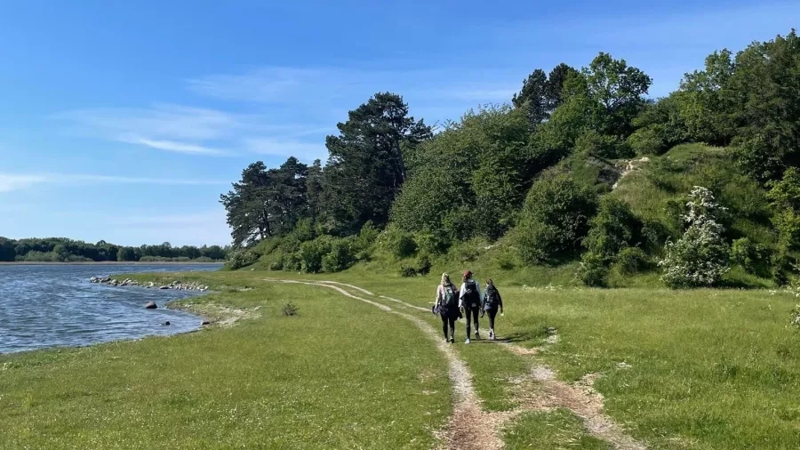 Gående langs Roskilde Fjord