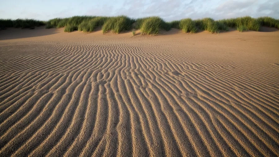 Bliv klogere på sand ved Lodbjerg. Foto: Nationalpark Thy.