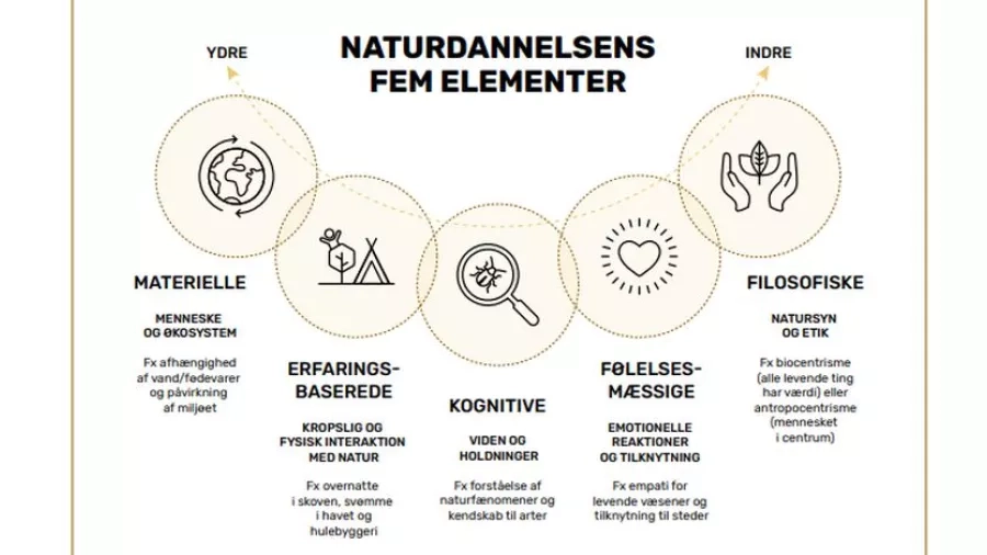 Naturdannelsens elementer. Figur: Friluftsrådet og Center for Børn og Natur.