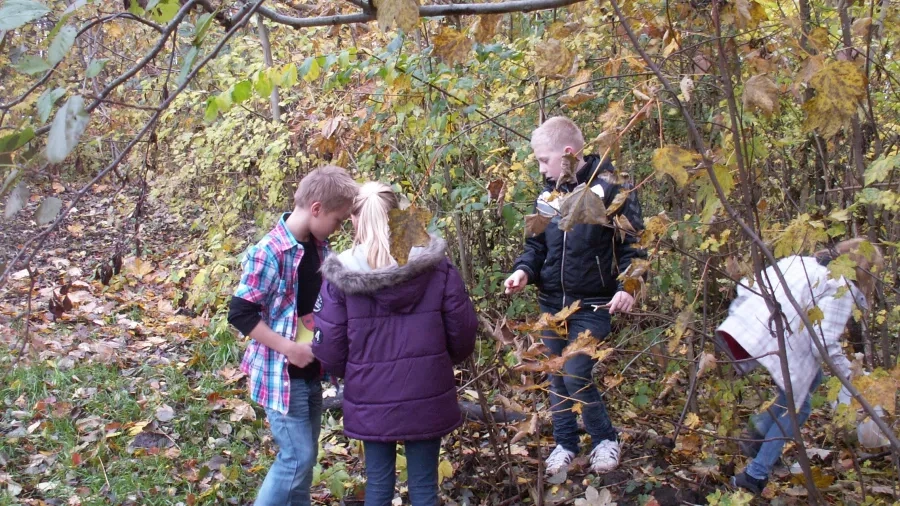 Udeskolebørn fra Elsted skole på jagt efter blade. Foto: Malene Bendix.