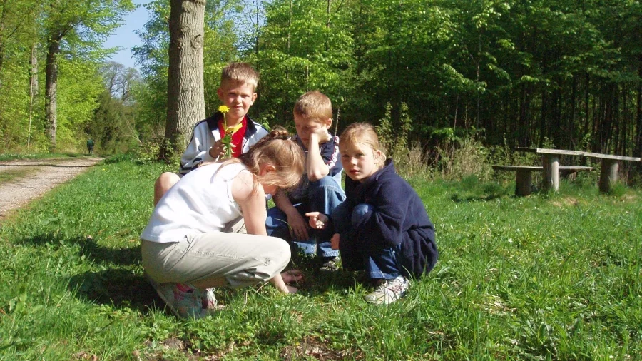 Det er sjovt at gå på tingfinderjagt. Foto: Skoven i Skolen. 