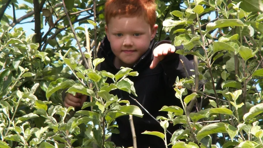 Udeskolebarn fra kvaglundskolen. Foto: Skoven i Skolen.