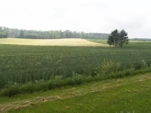 Her er et landskab, hvor du kunne finde rødkløver på markerne.