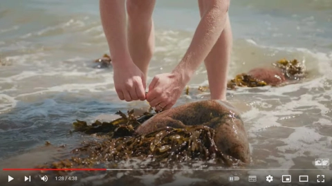 Mad fra Havet: Introduktion